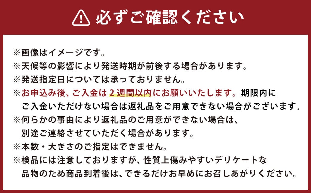 県知事賞を取った自然薯 農試60号 1本（500g以上×1本）【2025年11月上旬-2026年1月下旬発送予定】