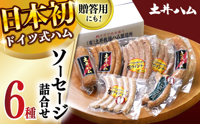 
            ソーセージ詰合せ（冷凍）エコ箱入り 6種 25本入り 大村市 土井ハム [ACYV005]
          