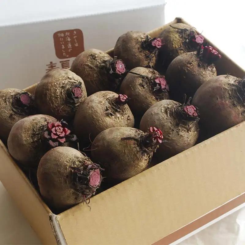 「春夏秋菜」ビーツ 4kg 2026年9月より順次発送 EB8-0202