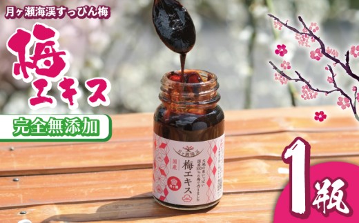 梅エキス６５ｇ×１瓶 無添加 青梅果汁のみ使用 月ヶ瀬梅渓名産 奈良県 奈良市 I-247