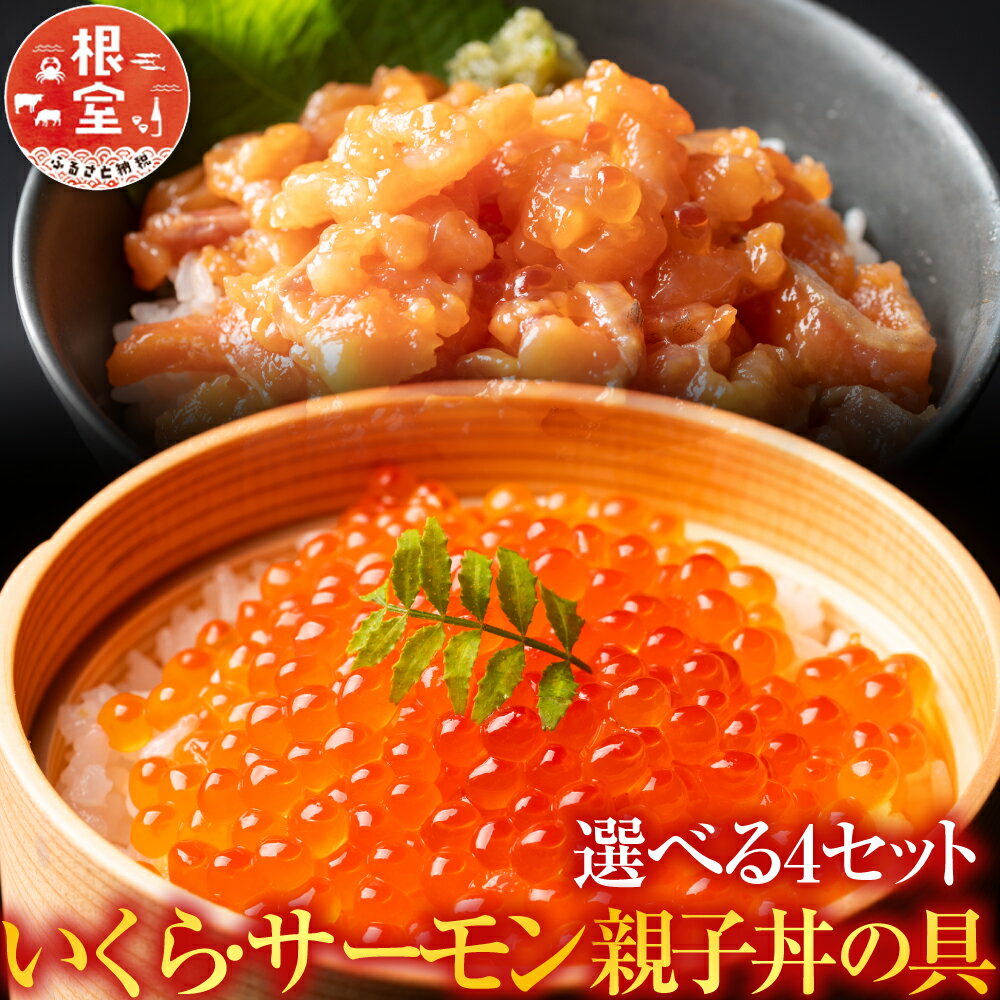 【ふるさと納税】＜鮭匠ふじい＞ いくら・サーモン親子丼の具 イクラ 鮭卵 鮭 サケ さけ しゃけ シャケ 醤油 醤油漬 醤油漬け 魚卵 お取り寄せ グルメ 海鮮 北海道 根室市 ふるさと納税