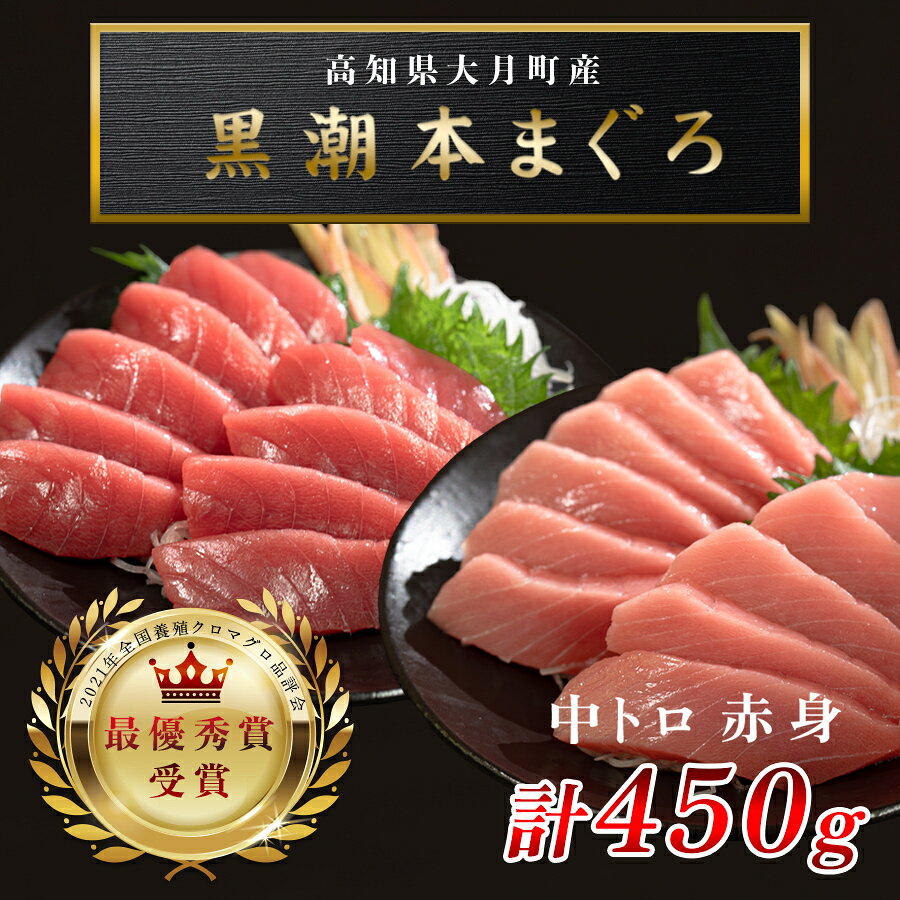 【ふるさと納税】 訳あり 不定貫 高知県産 養殖本マグロ 中トロ・赤身 450g 2種 黒潮本まぐろ｜刺身用 最優秀賞受賞 日本一 本まぐろ まぐろ 鮪 トロ 小分け 個包装 丼 寿司 手巻き 柵 急速冷凍 解凍簡単 贈答 ギフト お祝い 年末年始 産地直送 高知県 大月町