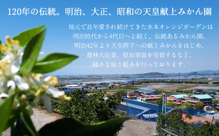 せとか 熊本玉名産 約3kg | 果物 くだもの フルーツ 柑橘類 みかん ミカン 熊本県 玉名市 旬  スイーツ 高級品種 高糖度 産地直送