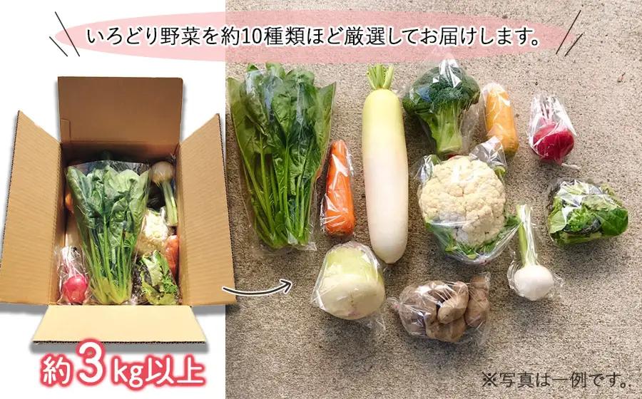 いろどり野菜セット (約8～10種類程度) 3㎏以上 山形県鶴岡産 やさいろ