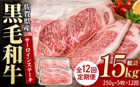 【12回定期便】佐賀県産 黒毛和牛 贅沢 サーロインステーキ 250g×5枚（計1250g）【株式会社いろは精肉店】/黒毛和牛 和牛 牛肉 肉 お肉 贅沢 高級 ステーキ サーロイン  [IAG095]