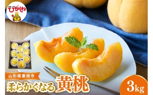 【2026年産 先行受付】 東根市産黄桃　秀品 柔らかくなる桃  約3kg ベジフルひがしね 山形県 東根市 hi104-011