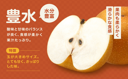【9月上旬から発送予定】南信州産 「豊水梨」 約5kg 12～16玉 糖度11.0以上｜長野県 飯田市