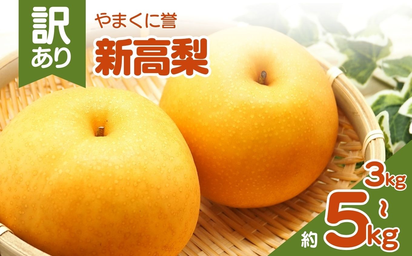 
                  やまくに誉（新高梨） 訳あり 選べる 内容量 約 3kg or 5kg  | フルーツ 果物 くだもの 梨 なし ナシ 和梨 新高 3キロ 5キロ 産地直送 九州産 国産 九州 大分県 中津市
                