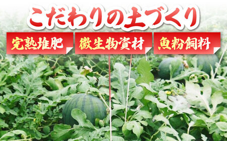 【先行予約】【数量限定】 肥後グリーンメロン 糖度16度以上 2玉 計約5kg【岡山農園】めろん メロン グリーンメロン 熊本メロン くまもとメロン 肥後グリーンメロン 国産メロン 高糖度メロン メロ