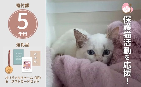 チャームセット ロゴチャーム ポストカード 保護猫応援 チャームセット【ポストカード×3枚】