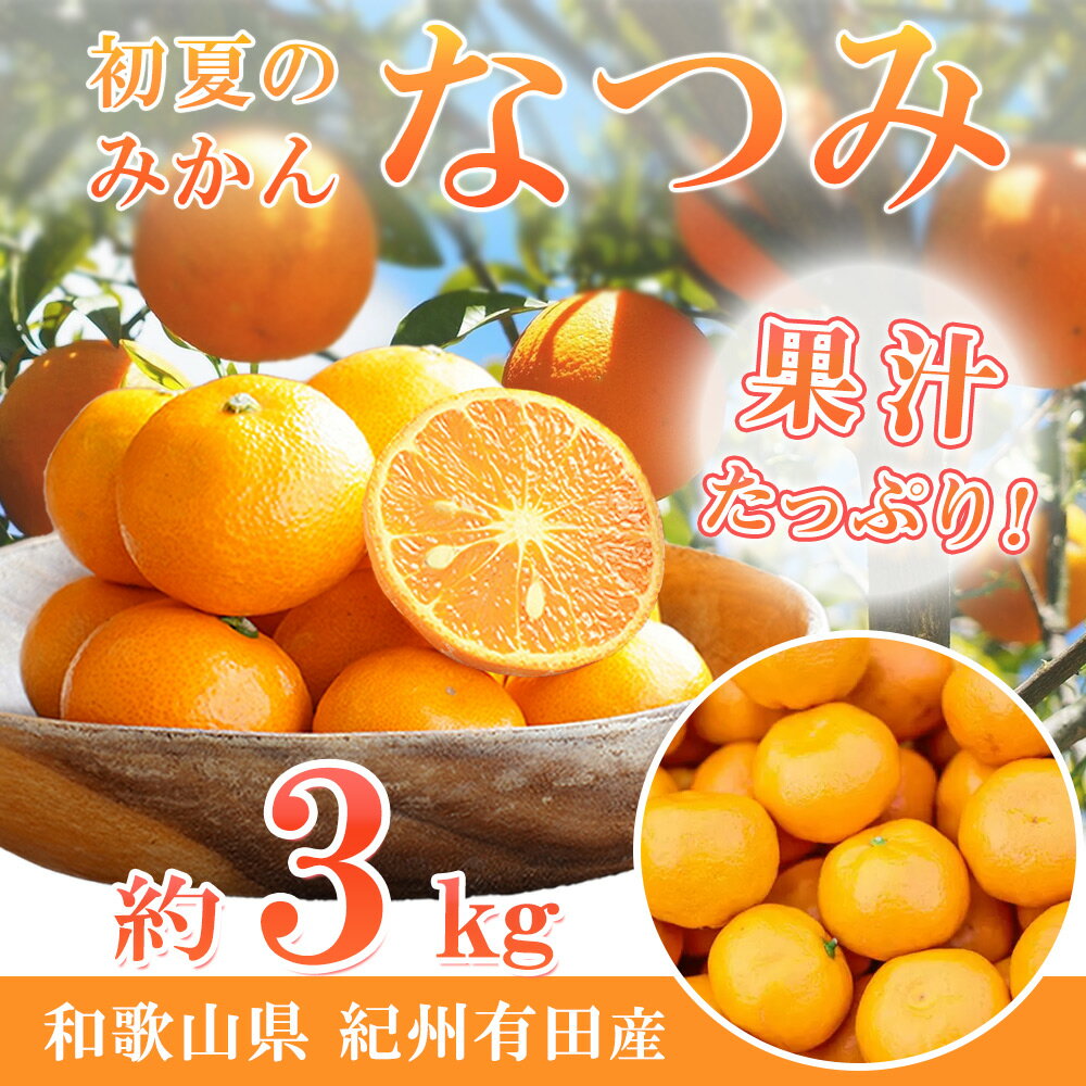 【ふるさと納税】【限定】【2026年先行予約】 初夏のみかん なつみ 3kg【ミカン 蜜柑 柑橘 和歌山 有田 南津海】