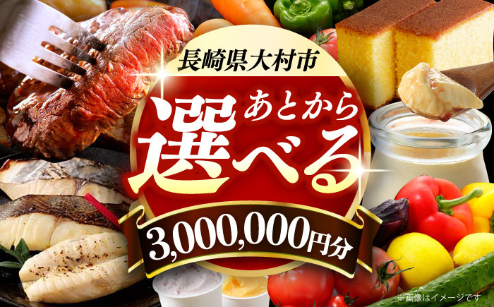 
            【あとから選べる】大村市ふるさとギフト300万円分 [ACBI027]
          