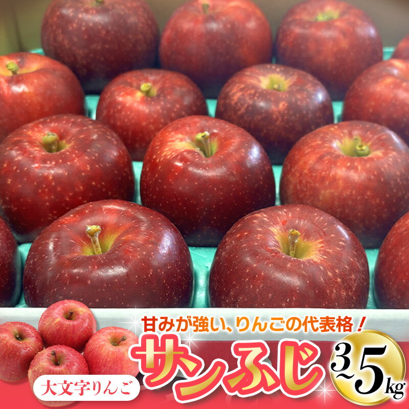 【ふるさと納税】人気No.1！りんご サンふじ 3kg 5kg 大文字りんご園 12月上旬より順次発送 / 蜜 蜜入り 国産 樹上完熟 幻のりんご 林檎 果物 くだもの フルーツ 産地直送 予約 送料無料