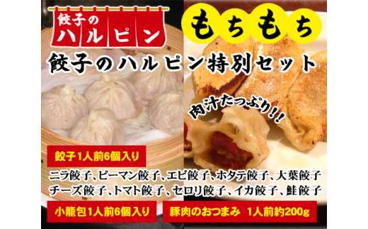 
No.102 【餃子のハルピン特別セット】餃子10種、小籠包、豚肉のおつまみ　12人前 ／ ぎょうざ ギョーザ 中華 東京都
