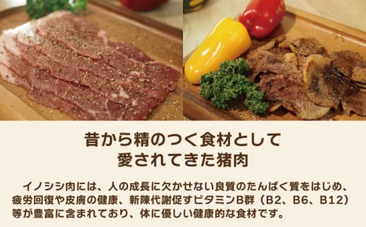 【12回定期便】ジビエ 天然イノシシ肉 粗挽きミンチ肉 600g【照本食肉加工所】[OAJ048] / 猪 猪肉 いのしし肉 イノシシ イノシシ肉 ジビエ いのしし 長崎県猪 川棚町産猪 ぼたん鍋用い