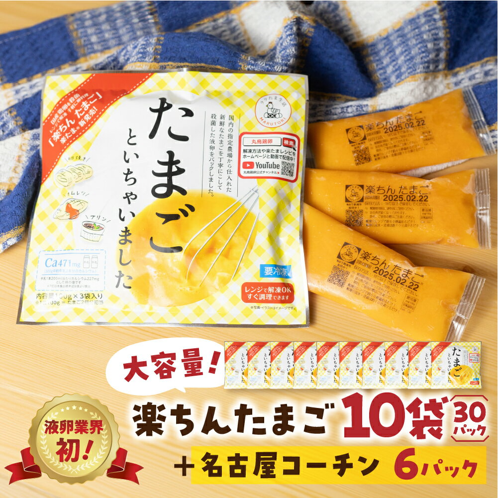 【ふるさと納税】楽ちんたまご 100g× 3パック入り 10袋 名古屋コーチン おまけ付き 液卵 時短 便利 ストック 冷凍 たまご 卵 お弁当 料理 おいしい 地鶏 おまけ 冷凍液卵 愛知県 豊橋市