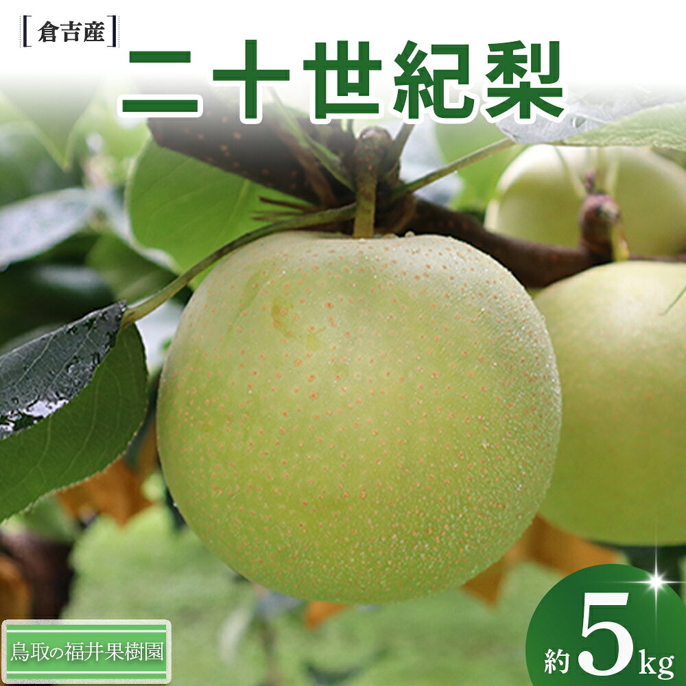 【ふるさと納税】【期間限定】令和8年産 二十世紀梨 5kg（10～20玉） 倉吉産 福井果樹園 二十世紀梨 20世紀梨 梨 なし ナシ ブランド梨 果物 フルーツ 先行予約 和梨 数量限定