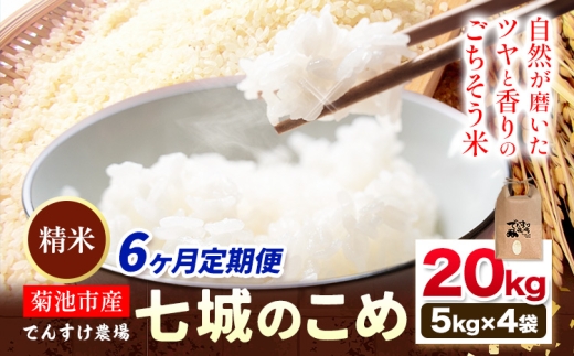 【先行予約】【6ヶ月定期便】令和8年産 精米 七城のこめ 20kg《11月上旬以降から順次出荷》熊本県 菊池市 米 白米 ヒノヒカリ でんすけ農場