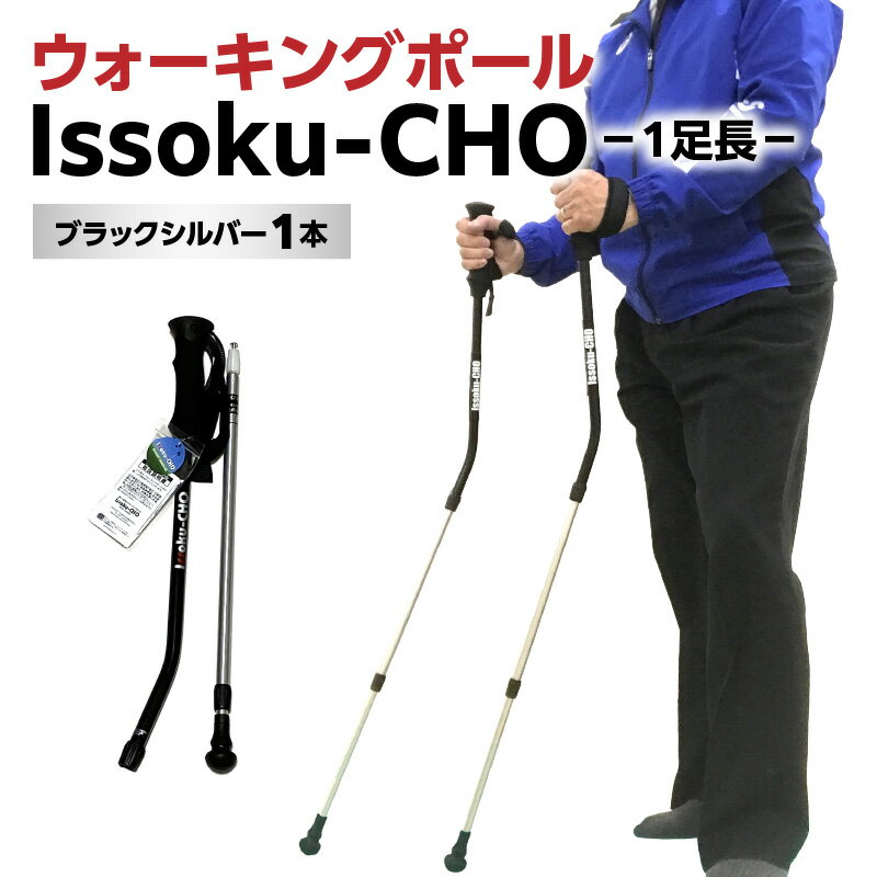 【ふるさと納税】ウォーキングポール Issoku-CHO（1足長） ブラックシルバー 1本 杖 歩行補助 特許取得 グッドデザイン賞 アウトドアスポーツ 山登り トレッキング ハイキング 登山 ウォーキング R17007
