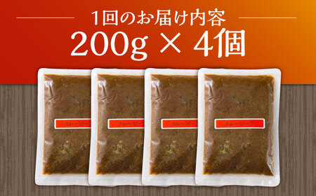 【12回定期便】薬膳スパイスビーフカレー 4食（200g×4） /自然庵[UCQ009] カレー スパイス スパイスカレー 冷凍カレー 小分けカレー 手作りカレー カレーセット レトルトカレー カレー