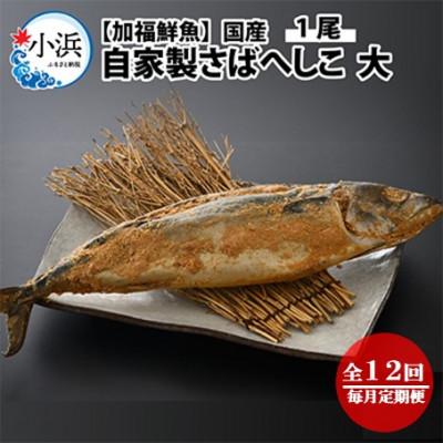 ふるさと納税 小浜市 【毎月定期便】【加福鮮魚】自家製さばへしこ大1尾全12回