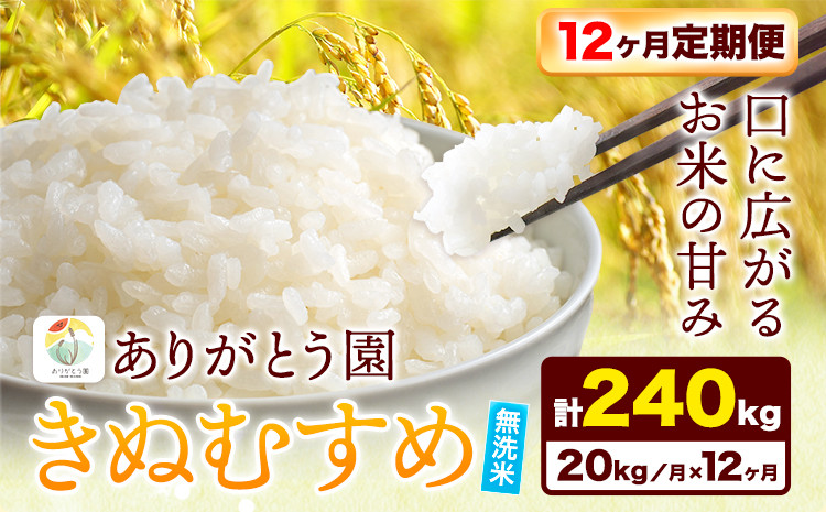 
188. 【12ヶ月定期便】令和6年産 米 岡山県産 きぬむすめ 無洗米 選べる 20kg ありがとう園《お申込み月の翌月から出荷開始》岡山県 矢掛町 無洗米 米 コメ 一等米 定期便 定期
