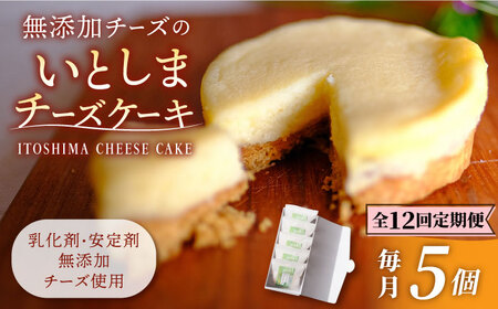 【全12回定期便】無添加チーズのいとしまチーズケーキ【5個入り】糸島市 / 糸島手作り工房 爽風 [ATA007] チーズケーキ スイーツ