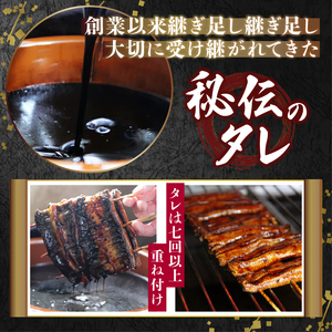 a48-010　鰻蒲焼真空パック〈5人前〉（1人前 115ｇ～125ｇ）