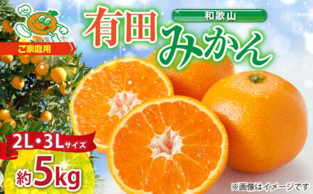 ZJ6084_ご家庭用　和歌山有田みかん 約5kg (2L、3Lサイズいずれか)【湯浅町】