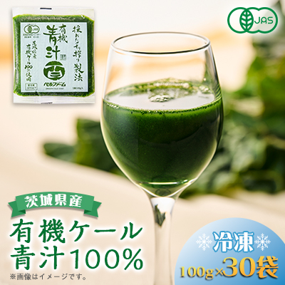 ベルファームの冷凍有機青汁百 茨城県産ケール100% 100g×30袋 【離島・沖縄配送不可】【配送不可地域：離島・沖縄】【1443688】