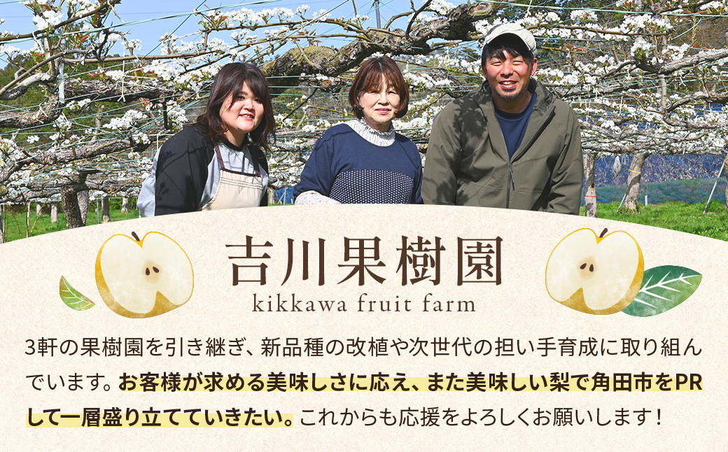 【先行予約（2026年発送分）】【訳あり】旬の和梨　約３kg【吉川果樹園】｜梨 ナシ こだわりの梨 フルーツ 果物 旬の梨 宮城県角田市 約3kg