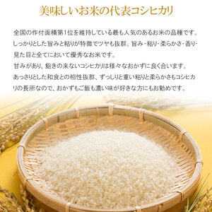 コシヒカリ パックライス 山形県庄内産 180g × 24P　| コシヒカリ こしひかり 米 お米 コメ ライス ごはん ご飯 パックご飯 白飯 白米 食品 お手軽 レンジ 湯煎 一人暮らし 常温保存