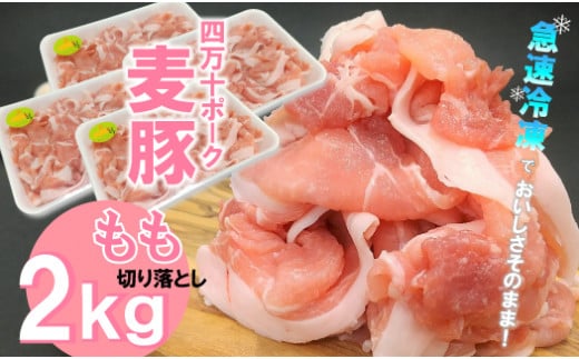 平野協同畜産の「麦豚」 豚もも切り落とし　2㎏（500g×4パック）四万十ポーク Ahc-07 国産 ぶた肉 豚肉 肉 お肉 もも 国産豚肉 国産ぶた肉 冷凍  小分け