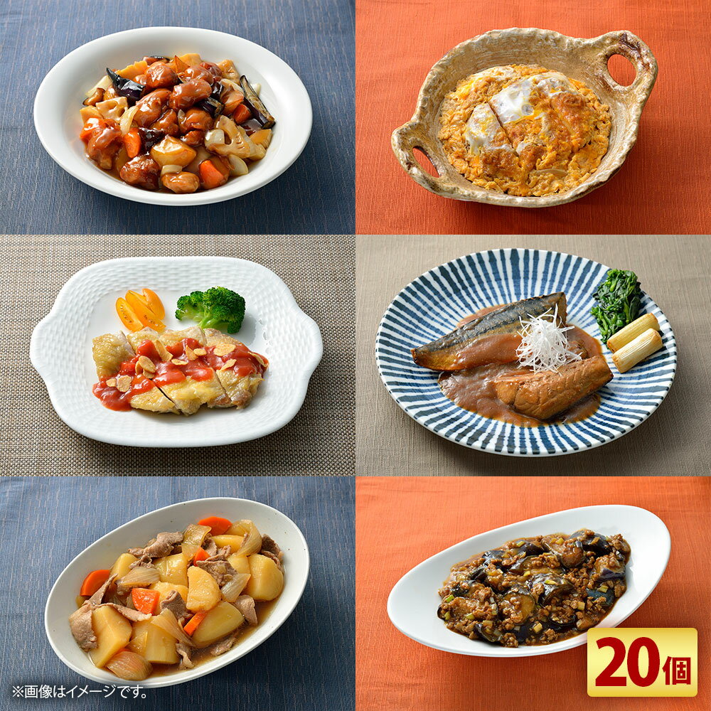 【ふるさと納税】 3分ごはん おかず20個 セット 20種類 おかず 惣菜 レンチン 簡単調理 お弁当 ごはん おつまみ 神奈川県 大和市 送料無料 【配送不可地域：離島】