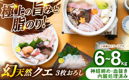 壱岐産　幻天然クエ　3枚おろし　6㎏～8㎏《壱岐市》 【みやげ処 縁由】[JBJ018]
