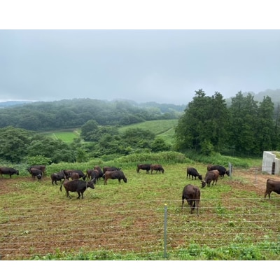 サーロインステーキ約400g(約200g?2枚)【美星和牛】【配送不可地域：離島】【1234921】