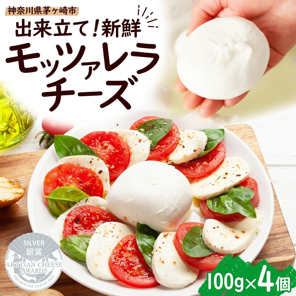 【ふるさと納税】出来立て新鮮 モッツァレラチーズ100g × 4個セット 茅ケ崎産 加工食品 乳製品 チーズ 出来立て 神奈川県産 モッツァレラ 手作り Osteria e Bottega S 神奈川県 湘南 茅ケ崎 フレッシュチーズ おつまみ ピザ　お届け：準備が出来次第順次発送