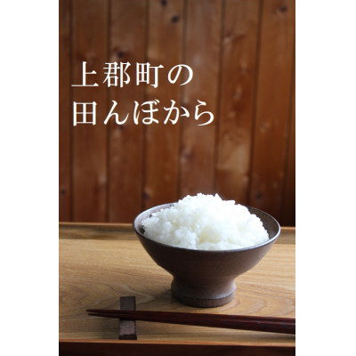 
新米＜令和6年産＞ヒノヒカリ　玄米10kg(5kg×2袋)【1342339】
