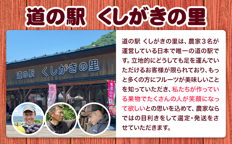【先行予約】 桃 かつらぎ町産 約 1kg 紀農人株式会社《2026年6月上旬-8月中旬頃出荷》 和歌山県 日高川町 果物 フルーツ 桃 もも モモ 旬---wshg_ckgr4_a68_23_130