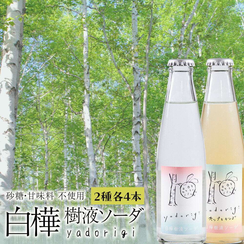 【ふるさと納税】白樺樹液ソーダyadorigi (プレーン/ホップとりんご)計8個ソーダ 炭酸飲料 ソフトドリンク 炭酸 樹液 飲料類 炭酸飲料 北海道ふるさと納税 ふるさと納税 北海道 黒松内町 通販 ギフト 贈答品 贈り物