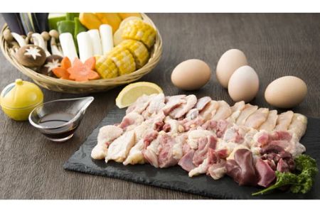 新鮮！名古屋コーチンの焼肉セット(名古屋コーチン卵のおまけ付き)｜ コーチン コーチン コーチン コーチン コーチン 鶏肉 鳥肉 とり肉 焼肉 【0665】