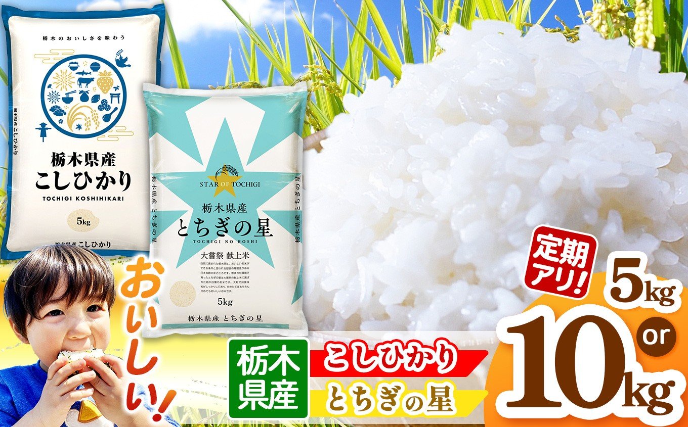 
            【チョイス限定】　訳あり 栃木県産 コシヒカリ・栃木の星 選べる 銘柄 5kg~10kg  |  真岡市産 こしひかり コシヒカリ とちぎの星 銘柄 お米 米 おにぎり おむすび  ふるさと納税  栃木県 真岡市 送料無料 
          
