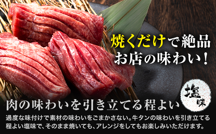 牛タン 薄切り 塩味 3kg 500g×6袋 《30日以内に出荷予定(土日祝除く)》 牛肉 肉 牛 たん タン 牛たん 焼くだけ 訳あり 焼肉 焼き肉 熊本県 山江村 薄切り BBQ タン下 塩牛タン