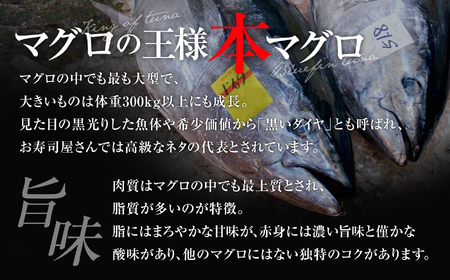 【定期便/計3回】訳あり 本マグロ(6-8人前) 