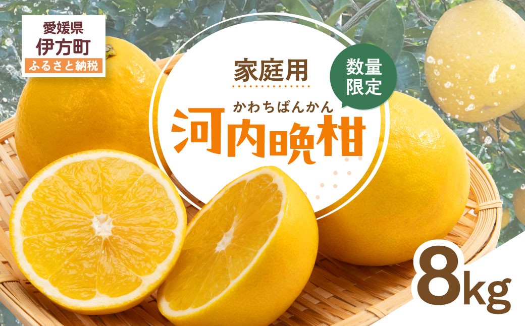 
                  【先行受付】【数量限定】【家庭用】河内晩柑（生果）8kg（2027年5月中旬頃より順次発送）  【ふるさと納税 人気 おすすめ ランキング 柑橘 みかん ミカン 河内晩柑 蜜柑 果物 生果 フルーツ 家庭用 Y.ONE農園 愛媛県産 愛媛県 伊方町 送料無料】 IKTQ008 
                