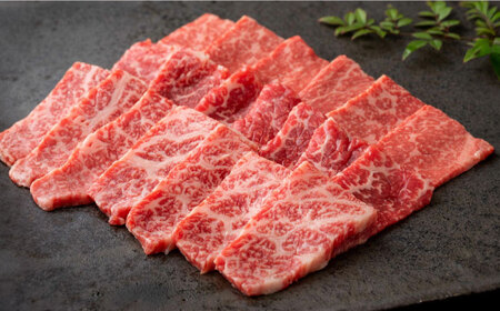 ＜牧場直送＞焼肉とステーキセット！佐賀牛希少部位焼肉600gと赤身ステーキ600g 計1.2kg 佐賀県/有限会社佐賀セントラル牧場[41ASAA045]