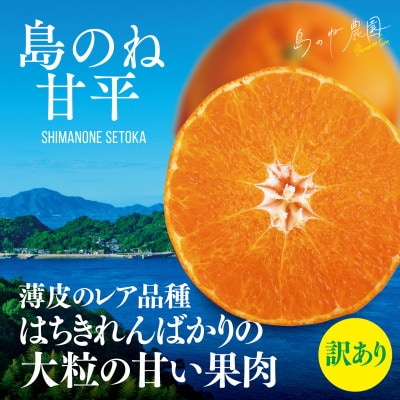 【島のね農園ブランド】島のね 甘平(4kg)【KB01600】