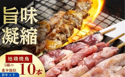 ＜8月から寄附額改定＞飛騨地鶏 焼き鳥 10本セットB 部位5種類 もも 皮 ふりそで なんこつ はつ 希少部位 国産鶏肉 食べ比べ 鶏肉 小分け 飛騨地鶏 地鶏