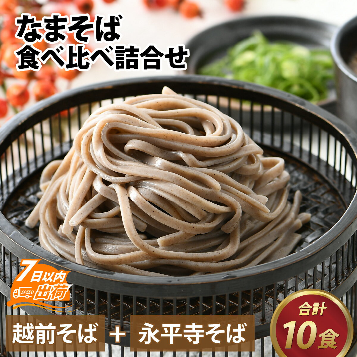 【ふるさと納税】越前 越前そば 永平寺そば おろしそば そば 蕎麦 なまそば 太麺 セット 福井 越前 年越しそば 冷蔵配送 送料無料 / なまそば食べ比べ詰合せ 合計10食 [A-120002]