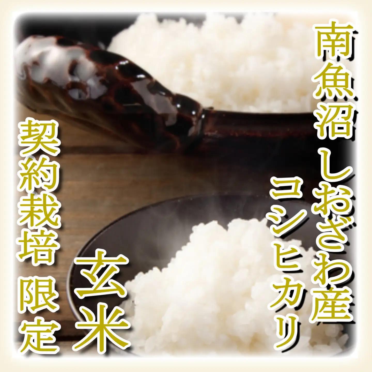 【令和7年】【定期便2Kg×3ヶ月】●玄米● 生産者限定 南魚沼しおざわ産コシヒカリ｜玄米